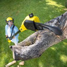 Lawn Edging in Captain Cook, HI